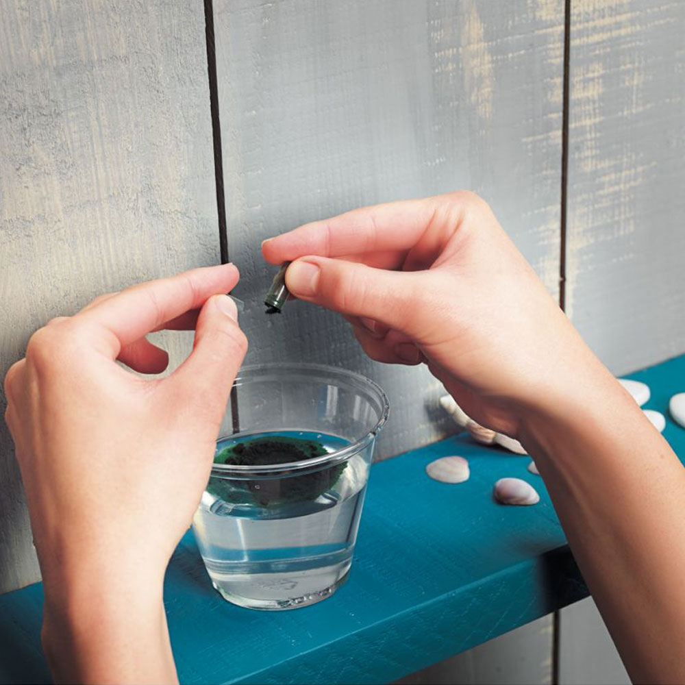 Spirulina-Treatment-3